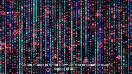 Understanding Genotyping Technologies_ Methods and Applications
