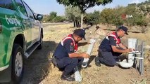Jandarma borulardan su ve yem kabı yapıp doğaya bıraktı