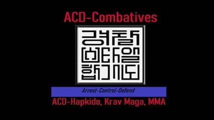 Aurora Police Incident (NO excuses for this!)