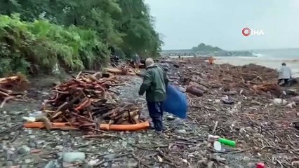 Dev dalgalara aldırış etmeden sahilden kışlık odunlarını topladılar