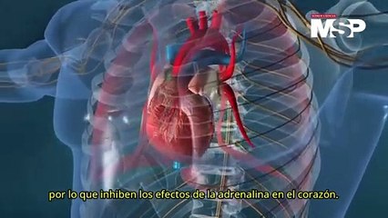 ¿Cómo funciona el metoprolol? Todo lo que deberías saber sobre este medicamento