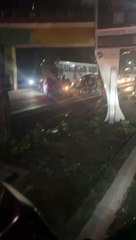 Acidente em Fortaleza: motociclista morre ao colidir em poste