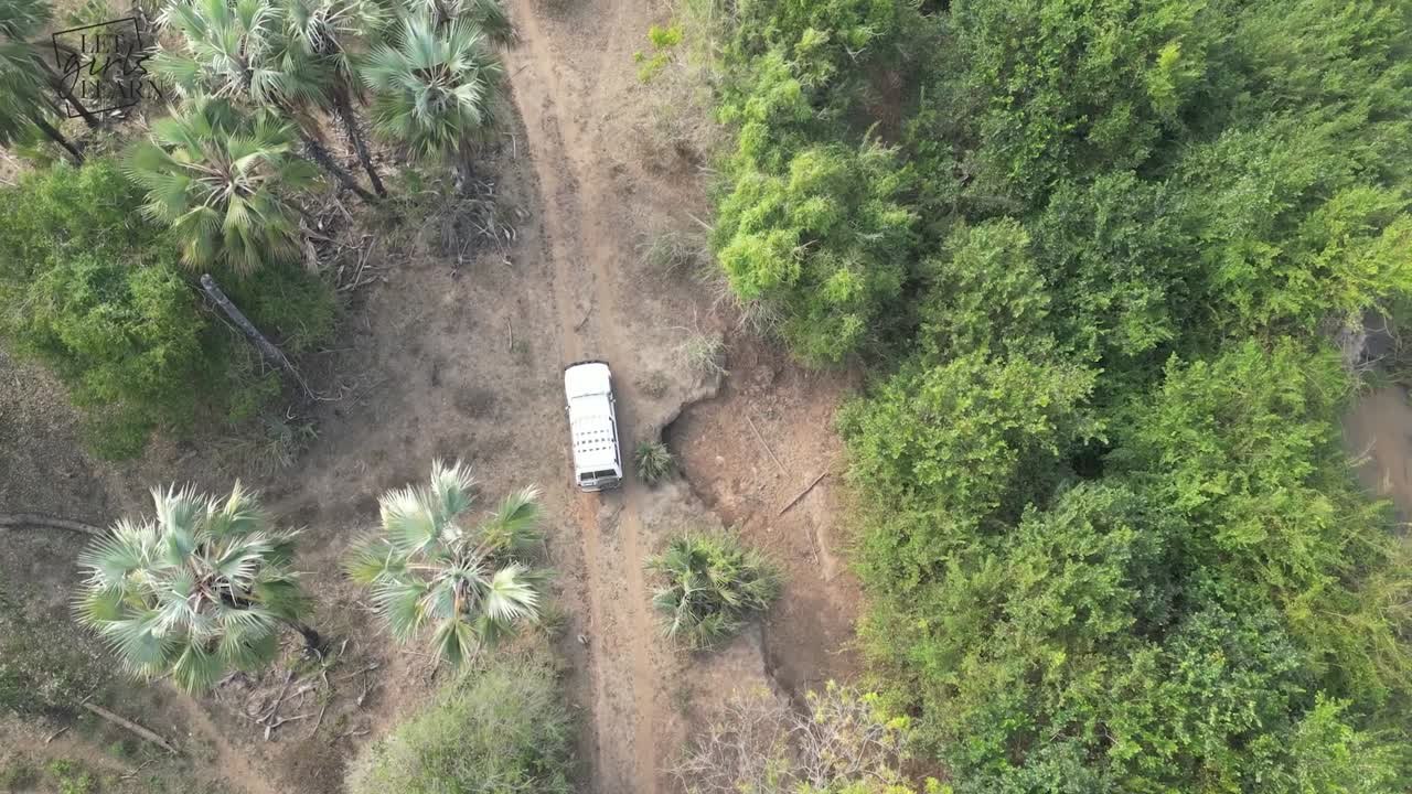 GORONGOSA