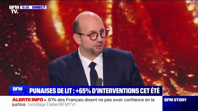 Punaises de lit: Il faut qu'on puisse imposer le fait d'entrer dans les logements pour les traiter , estime Ludovic Mendes (Renaissance)