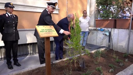 Ospedali più green, al via il progetto "Un albero per la salute"
