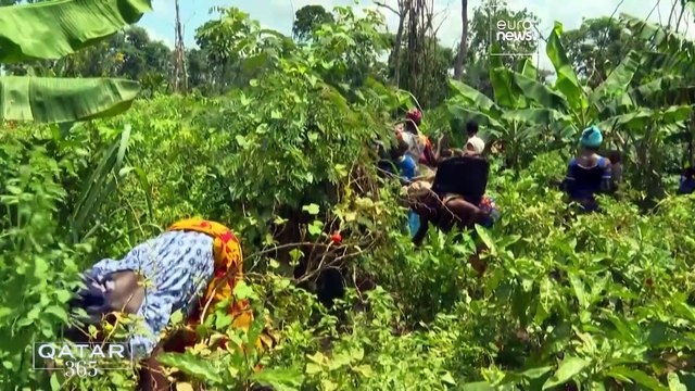 Бьюти-сектор Катара: этичный бизнес, экологичность и ставка на мужчин