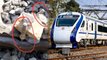 Vande Bharat Express Track पर Stones Video Viral, Track पर Stones से Accident Risk Scientific Reason