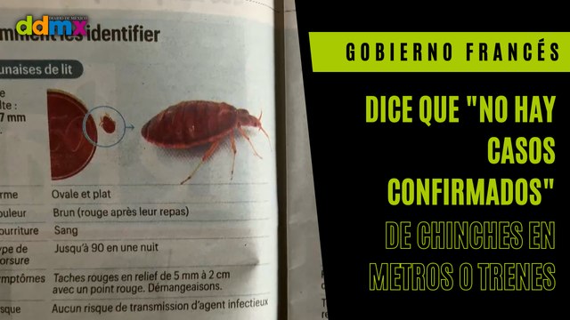El Gobierno francés dice que 'no hay casos confirmados' de chinches en metros o trenes