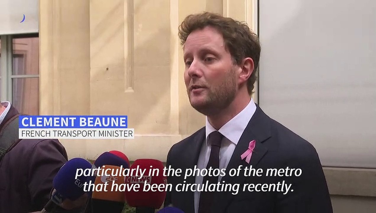 'Zero confirmed cases' of bedbugs on public transport says French minister