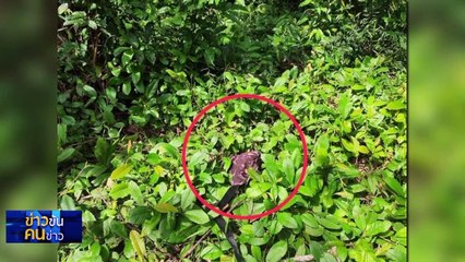 สกัดเลิก พ.ร.ก.? | ข่าวข้นคนข่าว | 4 ต.ค. 66 | PART4