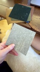 Testing Sofa Swatches When You Have Two Pugs