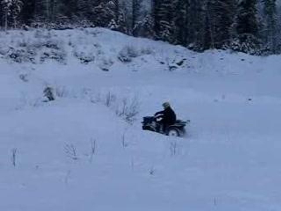 QUADING  IN FIRST SNOWFALL