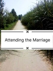 Going to attend the Marriage #shorts