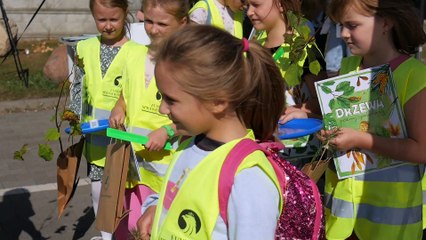 Drzewko za surowce wtórne