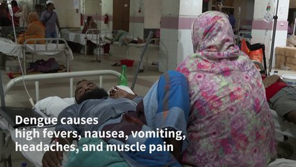 Bangladesh hospital in 'emergency' after record dengue deaths