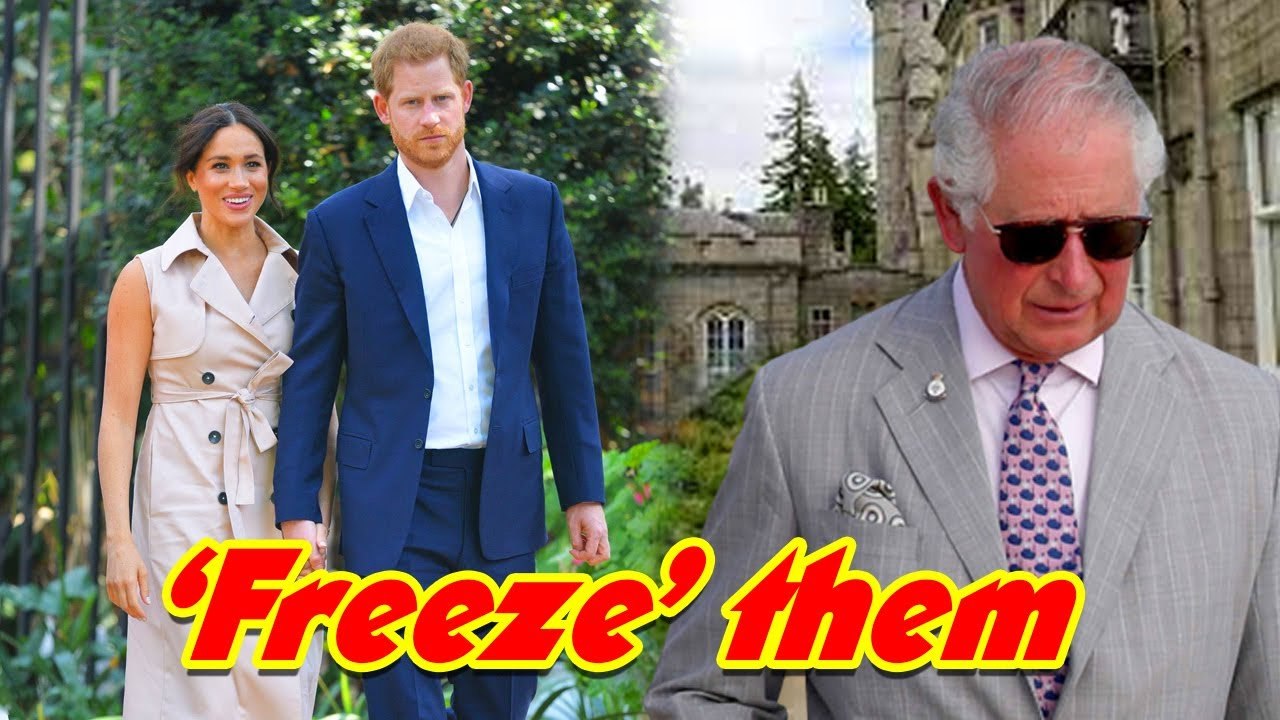 Prince Harry and Meghan Markle ‘Frozen Out’ by Charles
