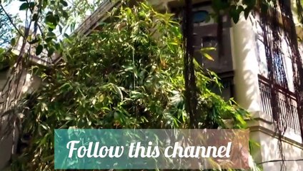 Mannat Murad Episode 2 | Watch Full Drama Online 🎬