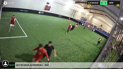 But de Nicolas Perreira - ZDG