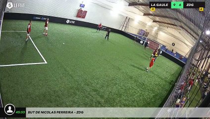 But de Nicolas Perreira - ZDG