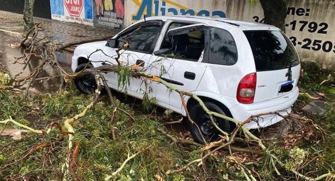 Tempestade deixa rastro de destruição em Apucarana no Paraná