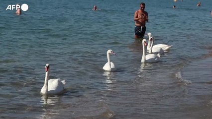Ancora caldo anomalo, poi El Nino smussera' i picchi
