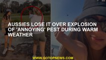 Aussies lose it over explosion of 'annoying' pest during warm weather