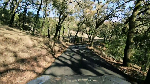 996 vs. 991: What’s the Ultimate Porsche GT3?