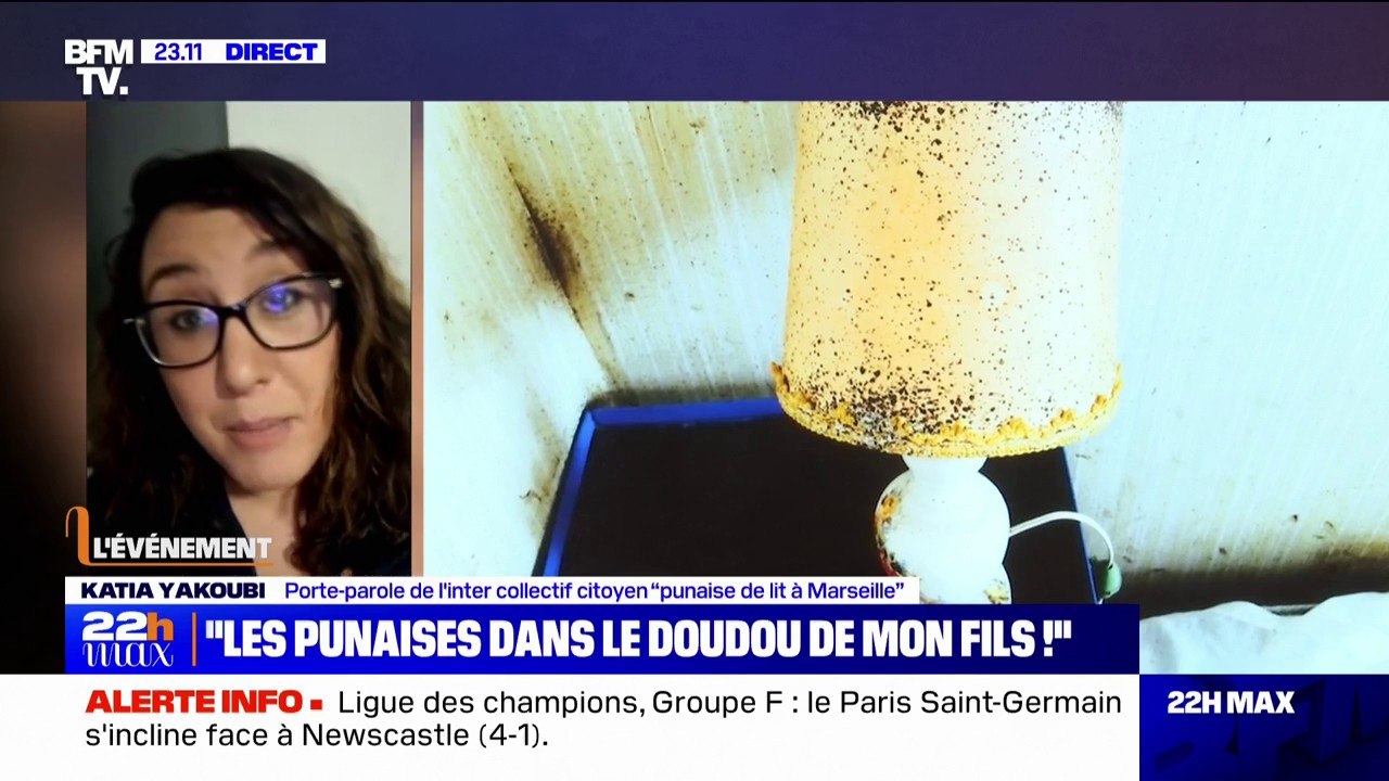 "Le foyer d'infestation se trouvait dans la peluche de mon enfant": Katia Yakoubi (collectif citoyen “punaise de lit à Marseille”) témoigne de son expérience vécue face au parasite