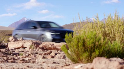 7 Razones por las cuales Audi produjo la nueva Q8 2019