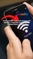 3 trucos para CONECTARTE a una red Wi-Fi sin conocer la contraseña