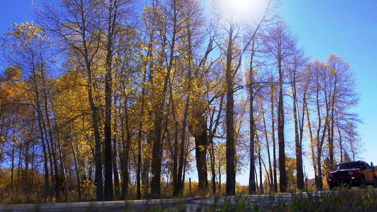 All-New Jeep Renegade Conquers Black Bear Pass!