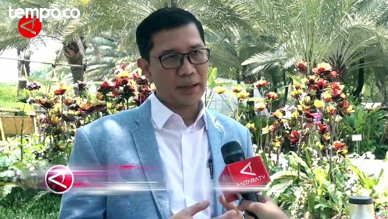 Kemenkominfo Akan Awasi Operasional TikTok Usai...