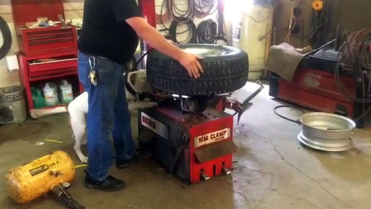 Dog Attacking Tire!