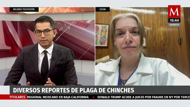 ¿Qué debemos saber sobre la plaga de chinches reportada en el país?