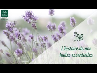 Lhistoire de nos huiles essentielles