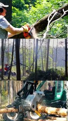 हम पागल लोग हैं || आचार्य प्रशांत