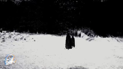 BIENVENIDOS A LA SECCIÓN I (Historias De Terror)