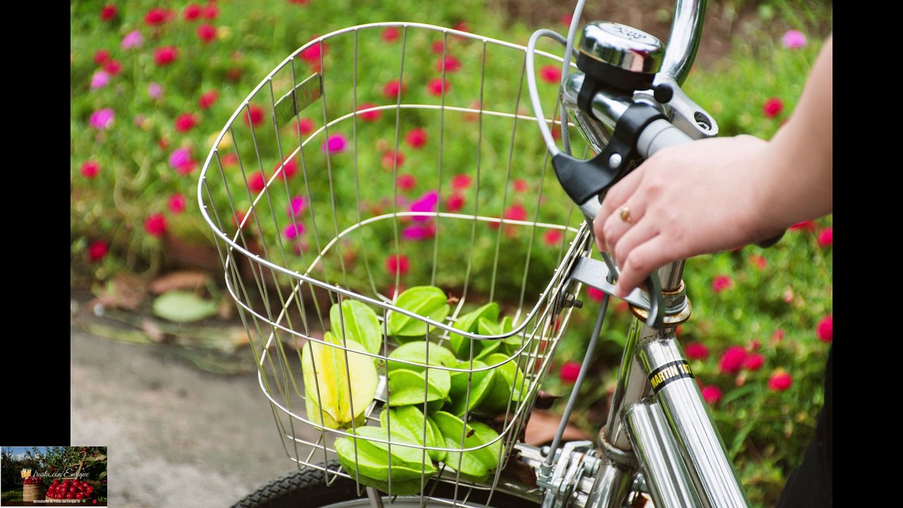 "Los Beneficios de la Carambola para la Salud y su Impacto en el Desarrollo Personal"
