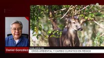 Crisis ambiental y cambio climático en México: Daniel González