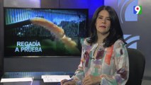 Arranca prueba en canal La Vigía para regar plantíos | Emisión Estelar SIN con Alicia Ortega