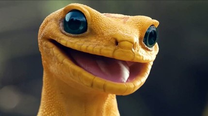 Animal Reel 2023 by Goodbye Kansas Studios