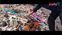 Pembersihan Sampah di Pantai Cibutun, Kadispar Kab. Sukabumi : untuk Meningkatkan Potensi Wisata