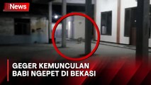 Penampakan Diduga Babi Ngepet yang Gegerkan Warga Bekasi