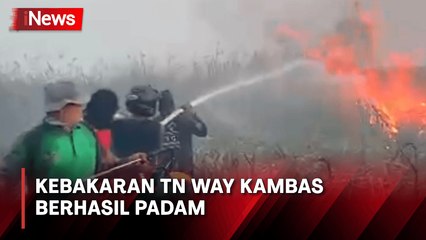 Kebakaran Kawasan TN Way Kambas Padam, Petugas Masih Berjaga di Lokasi