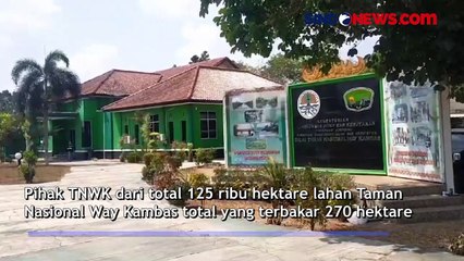 Kebakaran Berhasil Padam, Kawasan TN Way Kambas Masih Dijaga Ketat