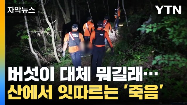 [자막뉴스] 잇따르는 '추락사'...소문난 산에 몰려드는 사람들 / YTN