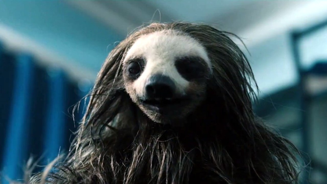 Im Horrorfilm Slotherhouse wird ein Faultier zum Killer - ja, ihr habt richtig gelesen