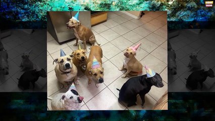 Heartbreaking News_ Y&R star Rory Gibson Mourns the Death of His Best Friend Cle