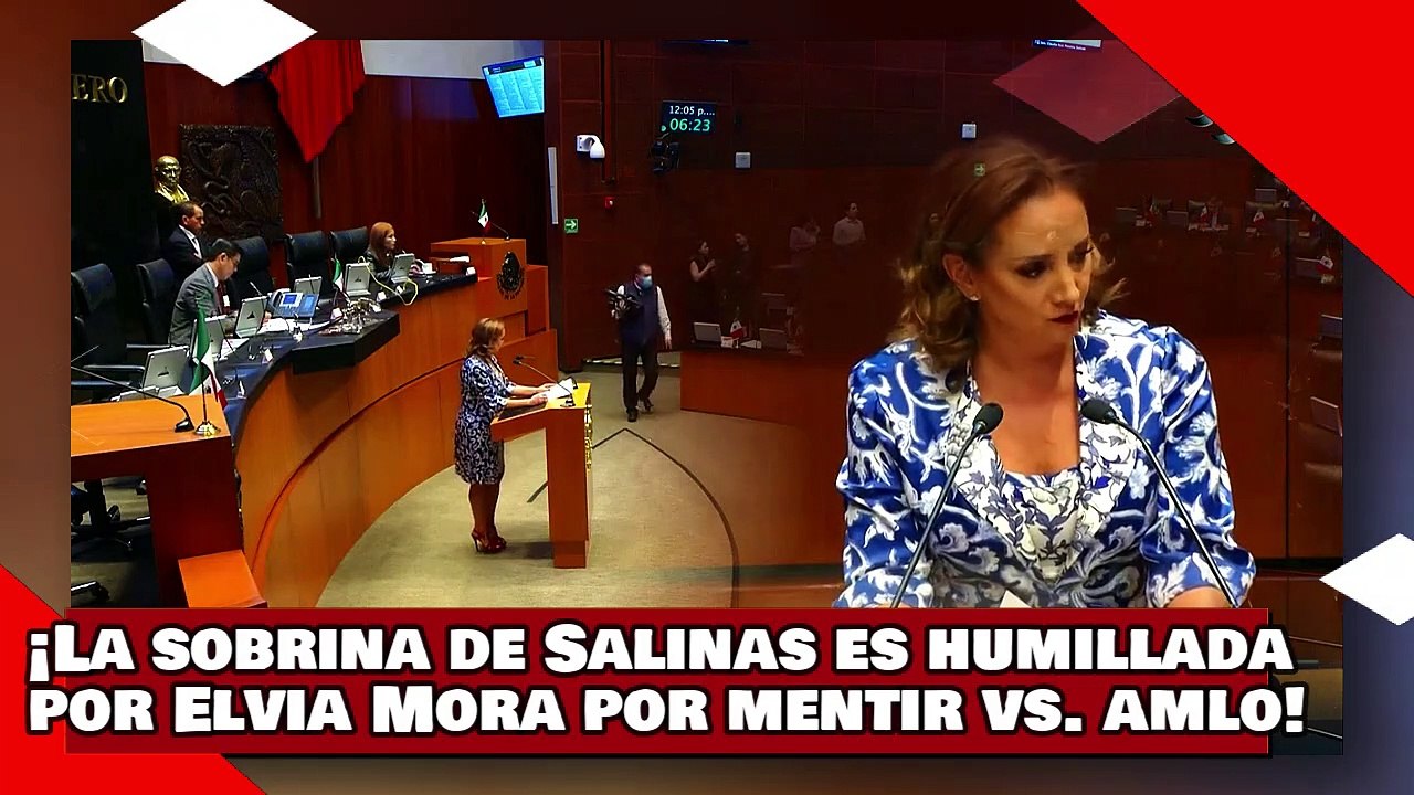 ¡VEAN! ¡La gata y sobrina de Salinas es humillada por Elvia Mora por mentir descaradamente vs. AMLO!