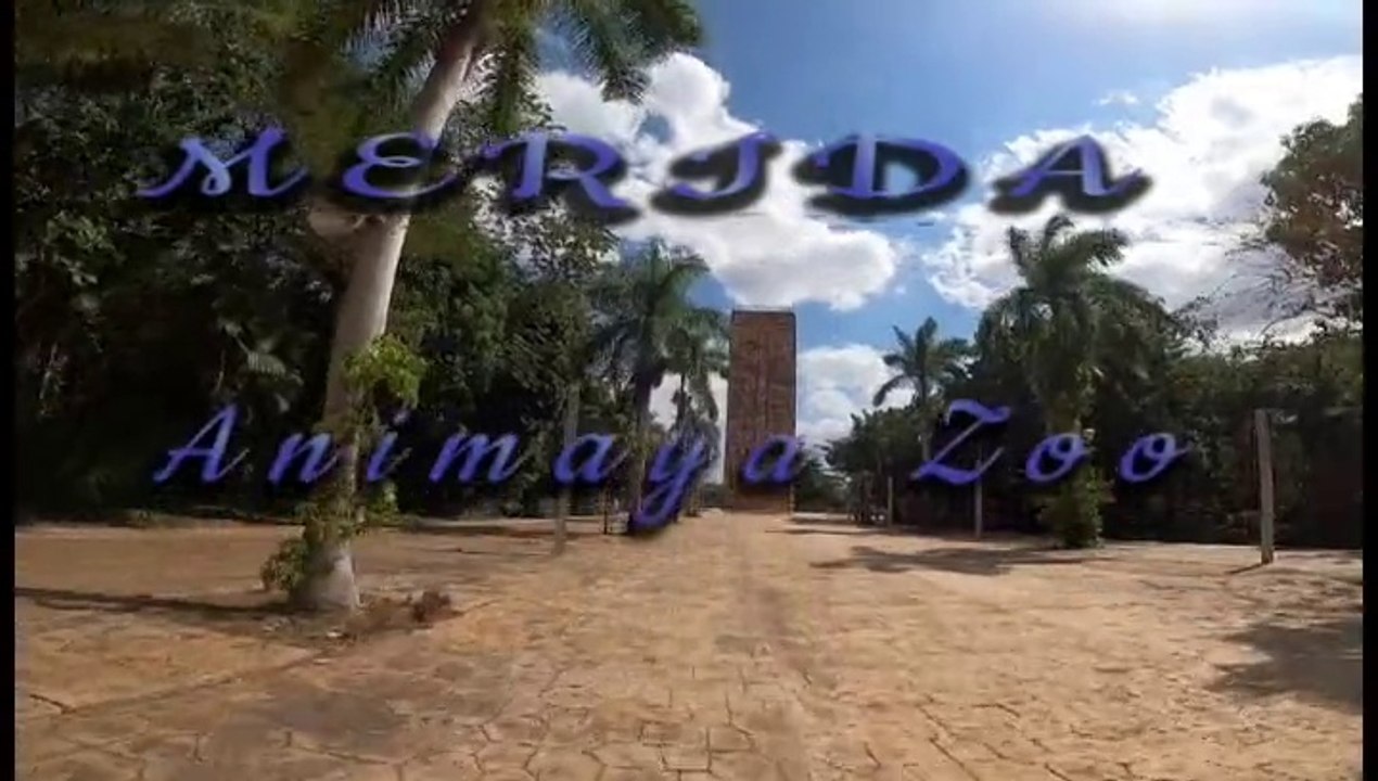 Animaya Zoo Merida